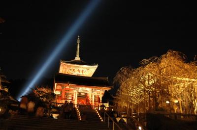 京都「東山花灯路」を撮る。