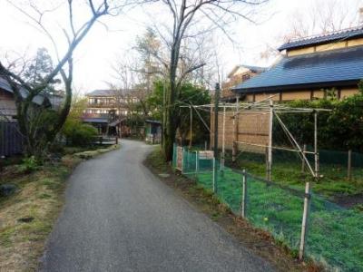 伊豆高原きらの里2012その2