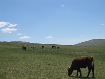 モンゴル大平原