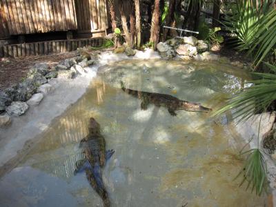 久しぶりのフロリダ May, 2010