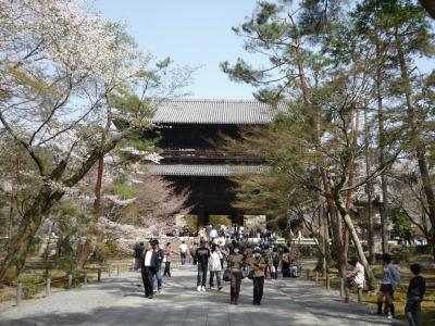 春の京都，着物で蹴上げから清水へ歩く～桜咲く，南禅寺，岡崎疎水から清水寺へ～