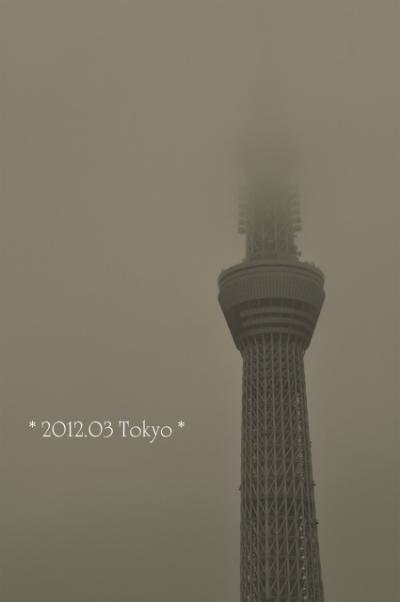 2012.03　信号渡ればすぐごはん＆初めてのツリー　ｉｎ　東京