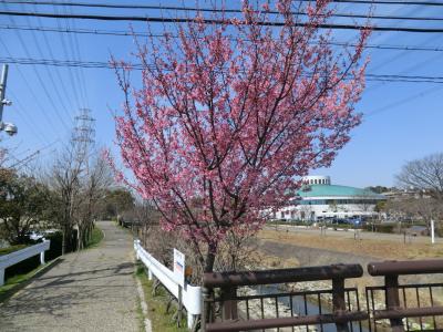 東浦町　北方面ウォーキング