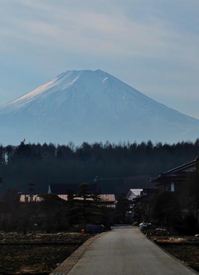 初春の富士山を仰ぐ　忍野村から　☆真白き富士の峰の北麓