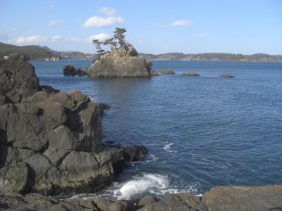 季節はめぐりて。気仙沼大島に明るい話題が・・・