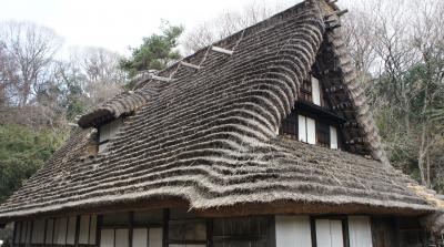 日本民家園に行ってきました（川崎市生田緑地散策）