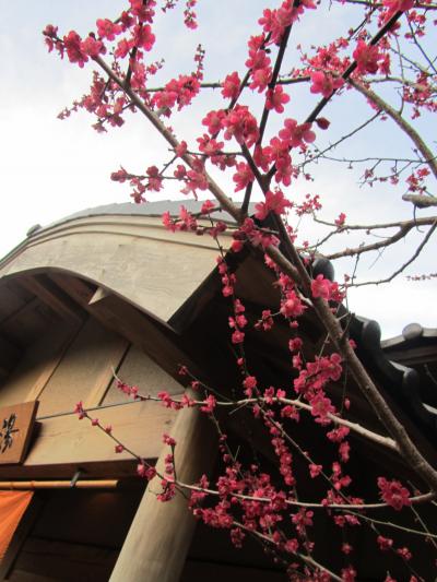 2012年弥生　13回目の里帰り【八幡野温泉郷　きらの里】春が待ち遠しくてＳＡＫＵＲＡに会いたくて・・・