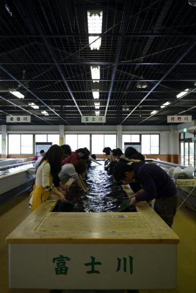 ０４．春休みの西伊豆1泊旅行　土肥金山その４ 砂金館