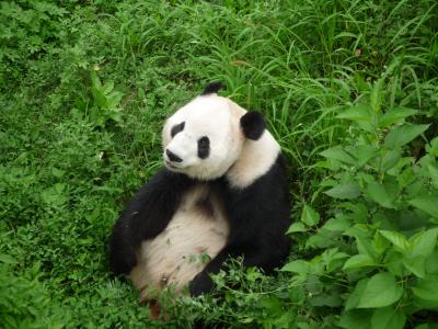 BVol.3 北京フリー4日間