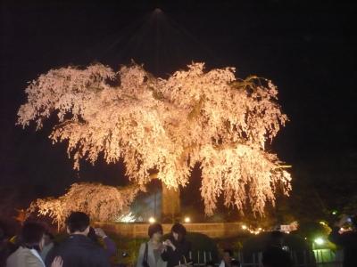 春の京都，着物で蹴上げから清水寺へ歩く～清水寺，円山公園夜桜～