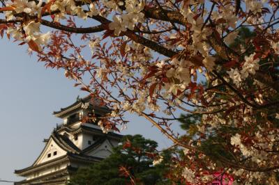 2012 桜旅 高知編 二日目