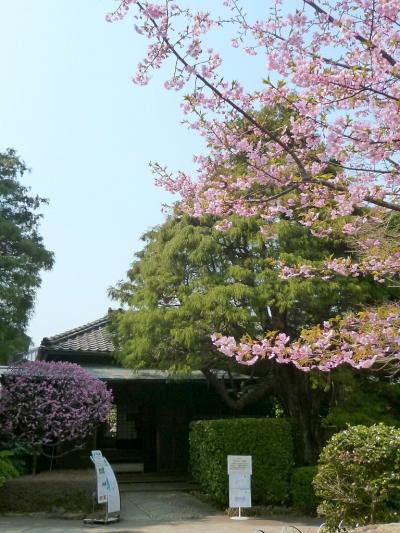 2012/03/28 ぶらり松戸の戸定が丘歴史公園へ