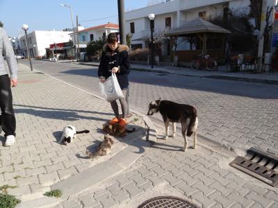 娘との卒業記念旅行　② （チェシュメ）