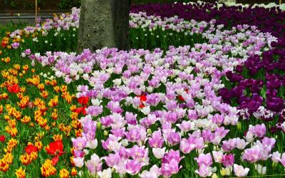 東京・有楽町駅界隈の風景