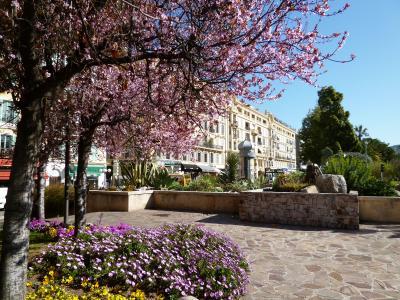 春の優雅なコートダジュール旅♪　Ｖｏｌ８（第２日目午前）　☆ニースのマセナ広場：美しい花や桜を愛で春を満喫♪