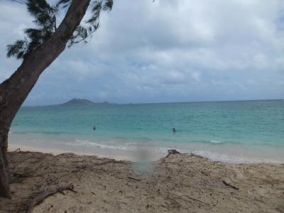 2年ぶりのハワイ　２