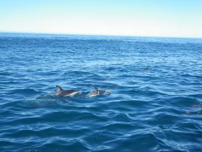 夏の終わりのニュージーランド南島旅行⑥