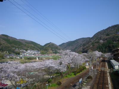 笠置では鉄子の真似してみました　～　2011年京都・奈良　桜の旅６