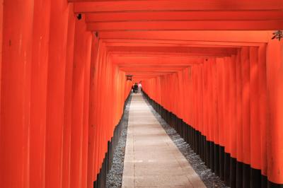春を見つけに神戸・京都へ(2日目・京都)