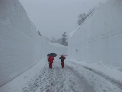 ●八甲田“雪の回廊と温泉”ウォークへ参加してみた…両親が●