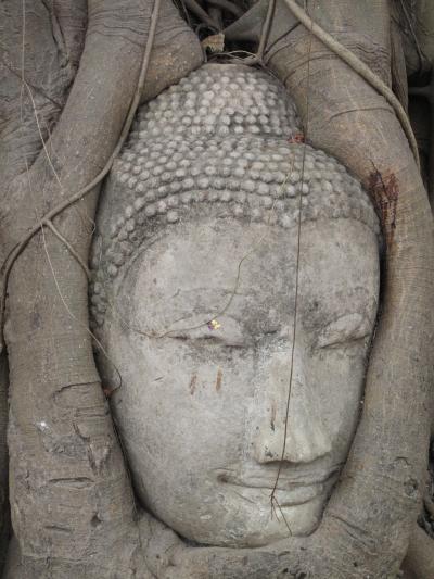 2011年12月～2012年1月タイ(バンコク・アユタヤ)