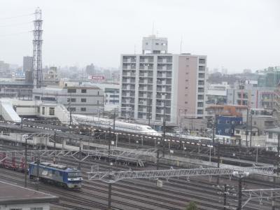 近場でお手軽旅行気分～名古屋笠寺ワシントンホテル＆湯ーとぴあ宝～
