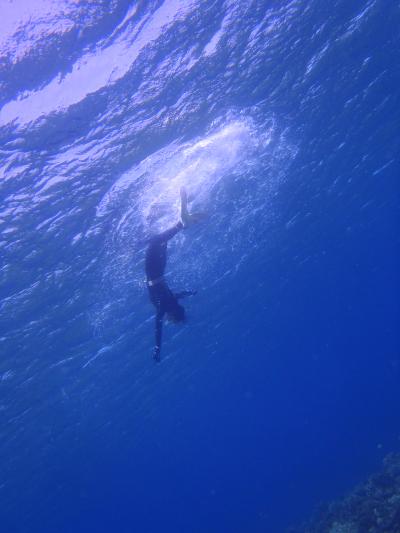 楽し～さ～　＜祝　合格記念沖縄旅行＞　ダイジェスト版　