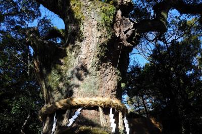 和歌山でたまに会う【３】～旅の終わりは熱田神宮～