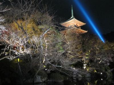 初春の京都ひとり旅～夜の祗園・清水寺へ～