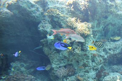 リザンシーパークホテル谷茶ベイ４泊５日波乱?の家族旅行