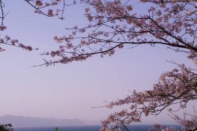 2012 桜旅 熊本編
