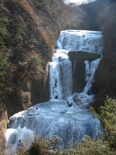 袋田の滝　= 氷 瀑 =白銀の壁模様おみごと！　☆６年ぶりに全面凍結