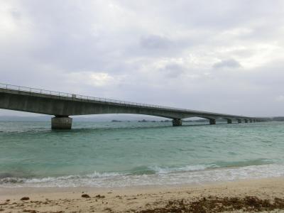 春の沖縄本島一周旅行（２日目、本島北部編）