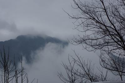 水墨画の街　桂林観光②　～3日目～