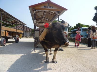 子連れの石垣!竹富! 楽しいな~