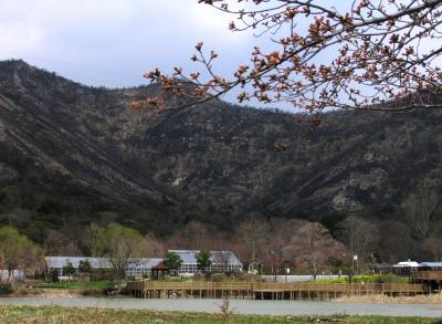 市ノ池公園・鷹ノ巣山・鹿嶋神社