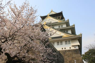 大阪城の桜　