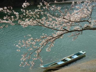 爛漫の桜を愛でながら　桜淵公園から腕扱山へ