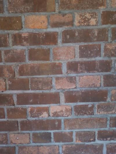 旧三池炭鉱宮浦坑跡(宮浦石炭記念公園) です。その３