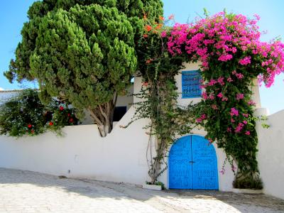 チュニジア【チュニジア9-シディ・ブ・サイド】