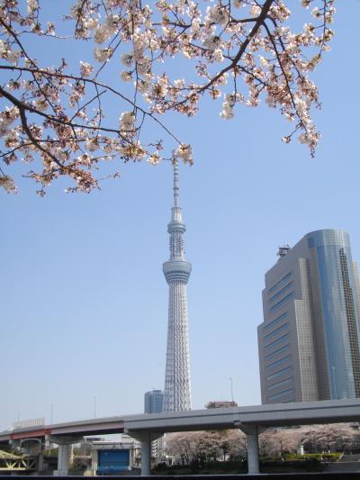 2012 桜の季節のスカイツリー♪