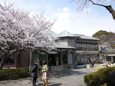 桜の季節に公開される、横須賀の３か所に行きました。 海上自衛隊の迎賓館など