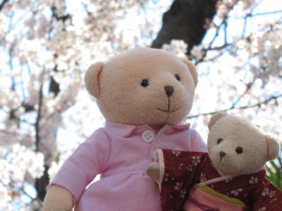 くまくまのおでかけ日記　桜・さくら・ＳＡＫＵＲＡ　２０１２　いつもの千鳥ケ淵の桜と美術館でお花見　の巻