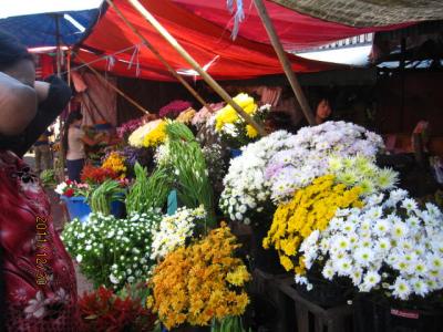 さまざまなタイ旅行（２５）ミャワデー市場の周辺で。 