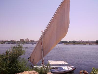 2010　〜アスワン　　　〜