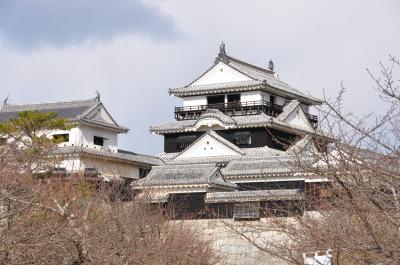 歴史と文化の漂う町　松山の散歩