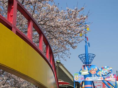 王子動物園と遊園地で桜見☆２０１２