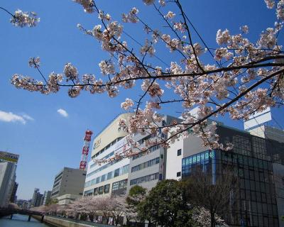 【ちふ散歩】横浜のスパイアス＆お花見