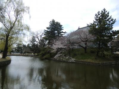 2012年4月　東関東の旅　第１日　守谷城跡、土浦城跡、鹿島遠征