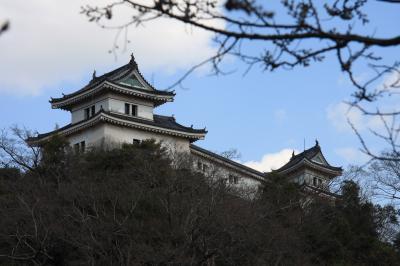 和歌山城公園の花見（桜）と観光＆撮影スポットの穴場編
